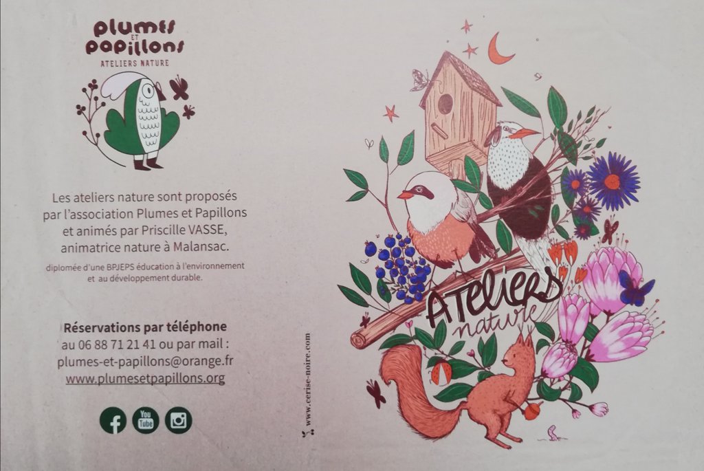 Logo Plumes et papillons