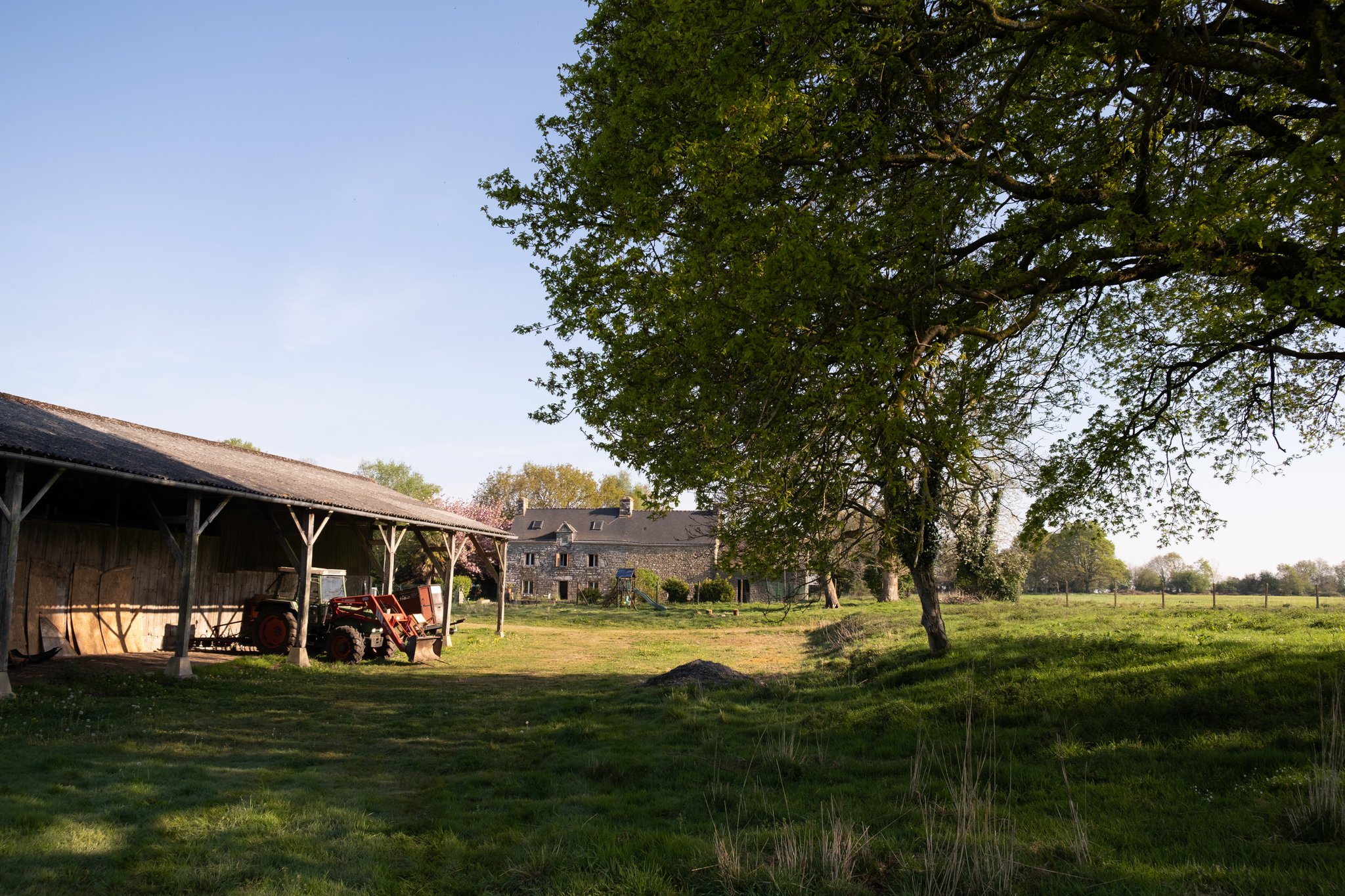 Logo Mignoned Caringa