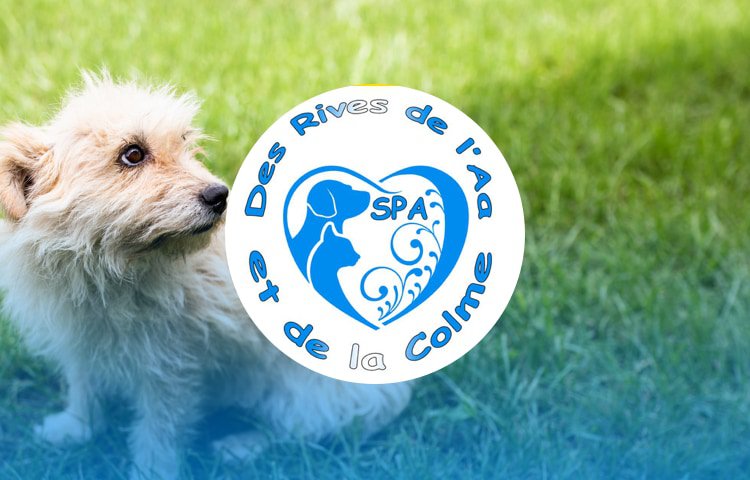 Colme Spa des rives de l' Aa et de la Colme - Saint-Georges-sur-l'Aa