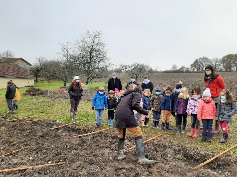 Plantation de haie pour la biodiversité Plantation de haie pour la biodiversité