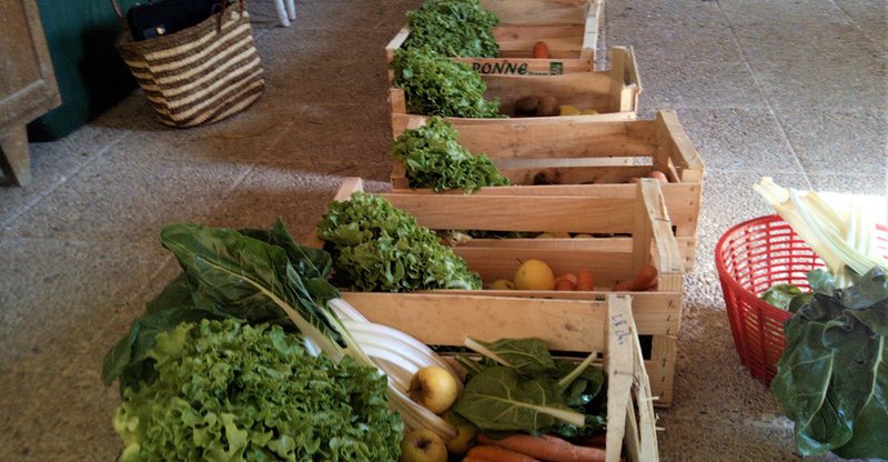 Panier bio de légumes Panier bio de légumes