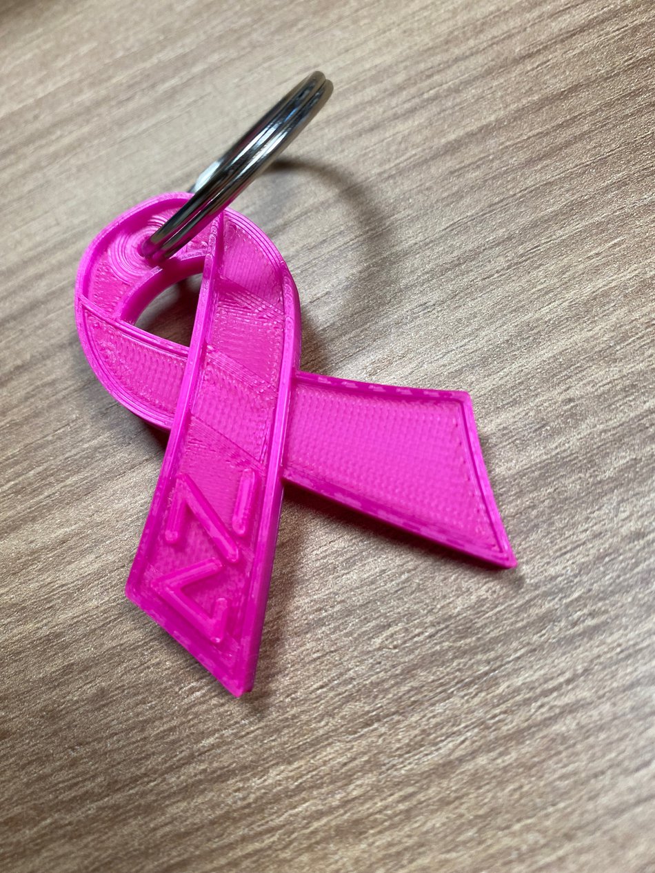  Octobre Rose Azylis Vercel Villedieu le Camp