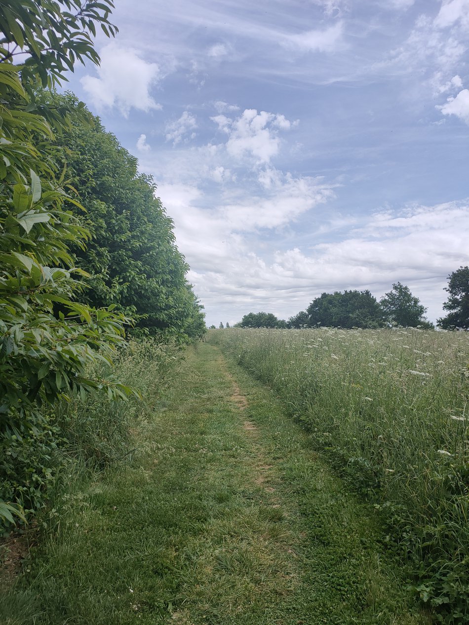 chemins-p-destres-corps-nuds