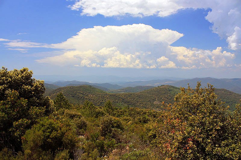 Le Massif des Maures Collobrières