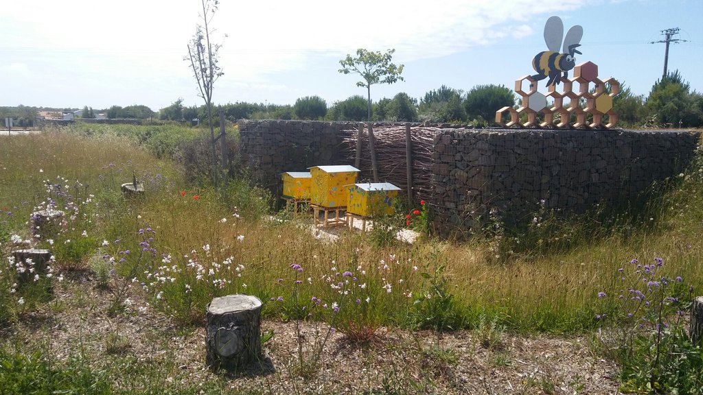 Le Rucher du Goulet SaintVincentsurJard