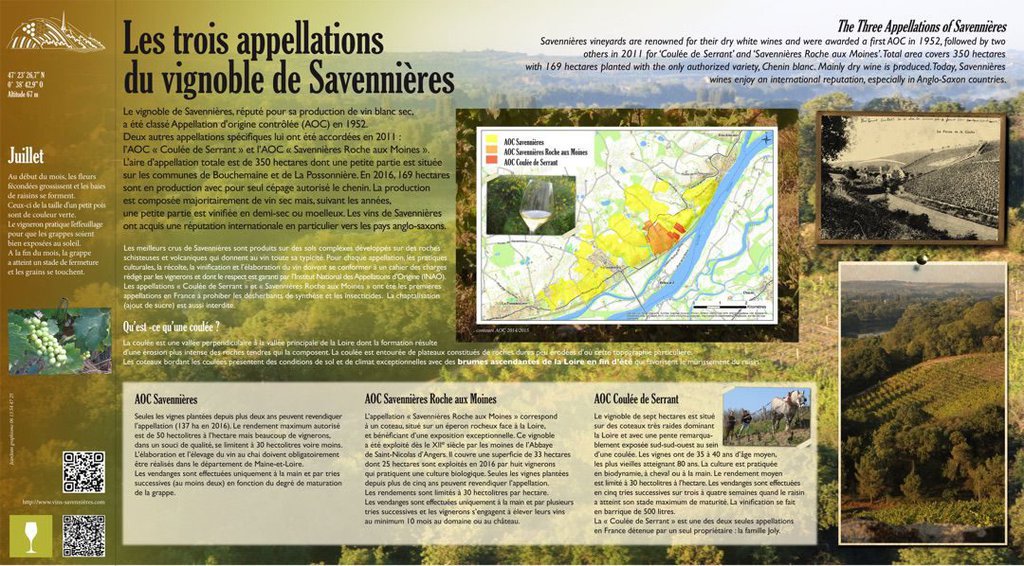 Les trois appellations du vignoble de Savennières Savennières
